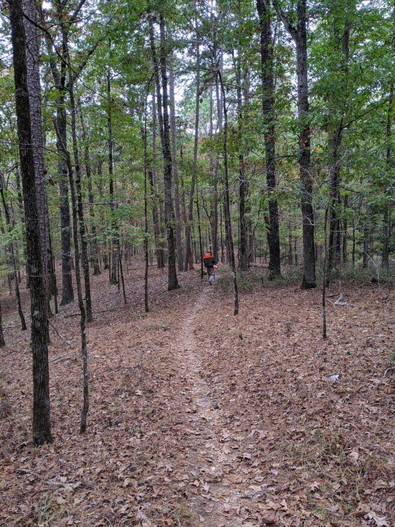 This image has an empty alt attribute; its file name is pxl_20201024_181439778.jpg