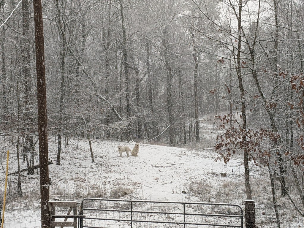 Practical Ways To Combat The Winter&nbsp;Blues