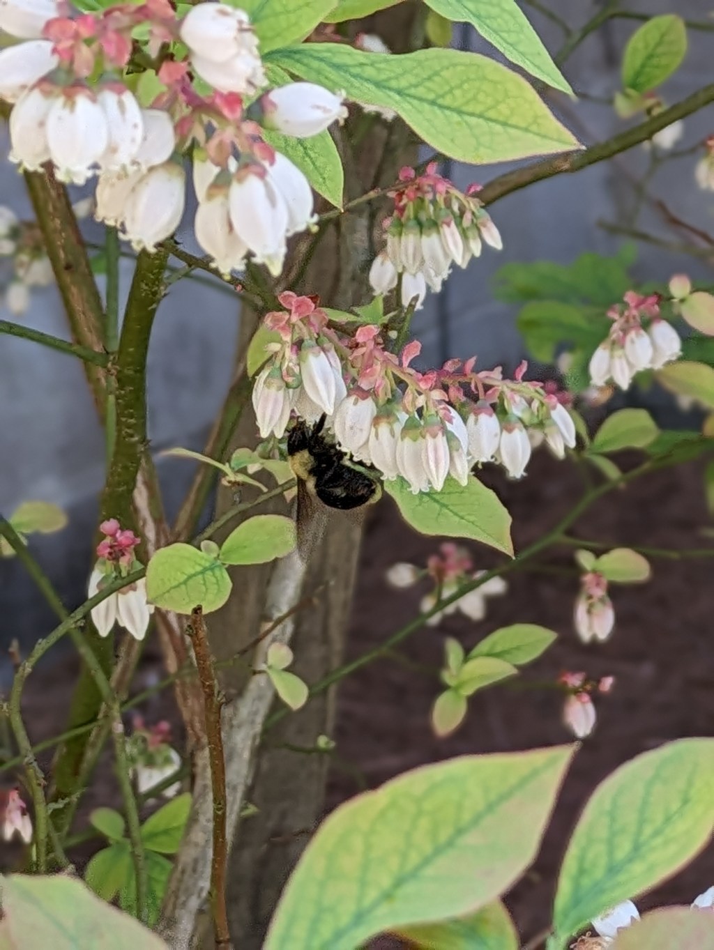 Spring Cleaning ‘Checklist’