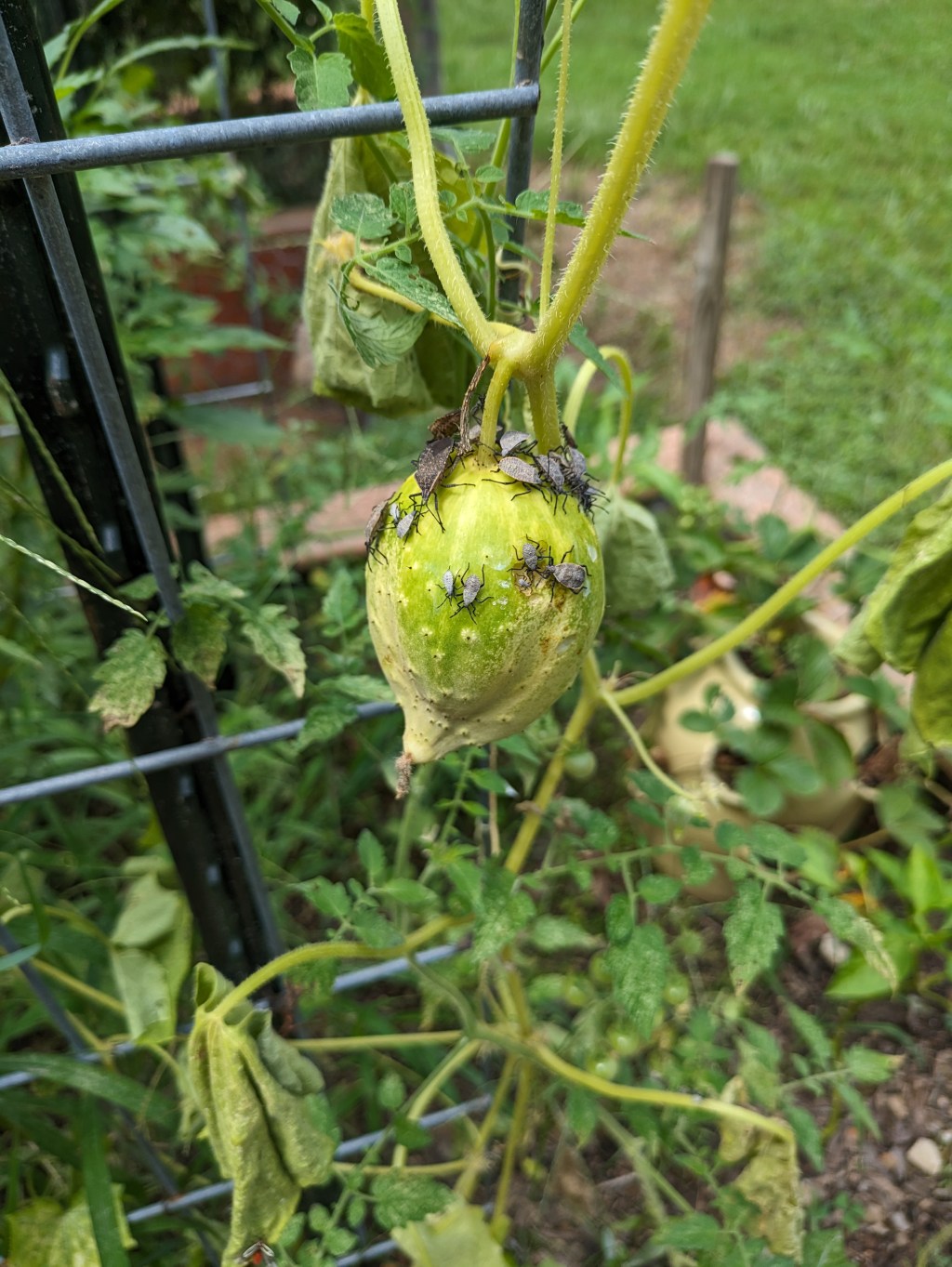 Victory In The Suffering Of&nbsp;Injustice